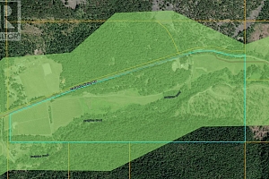 1238 Creighton Valley Road - Photo 19