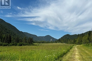 1238 Creighton Valley Road - Photo 5