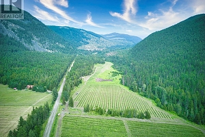 1238 Creighton Valley Road - Photo 7