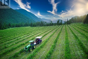 1238 Creighton Valley Road - Photo 8