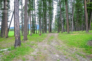 4 Hollingsworth Road - Photo 50