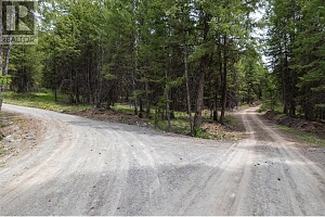 233 Boulder Road Lot# 10A - Photo 3
