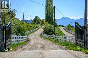 8399 Bench Row Road - Photo 4