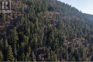 8724, 8730, 8734 Okanagan Landing Road - Photo 26