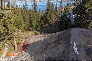 1423 Bear Creek Road - Photo 9