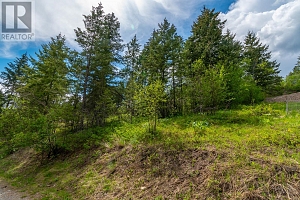 10665 Westshore Road - Photo 10