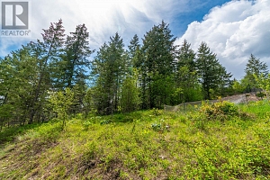 10665 Westshore Road - Photo 11