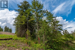 10665 Westshore Road - Photo 12