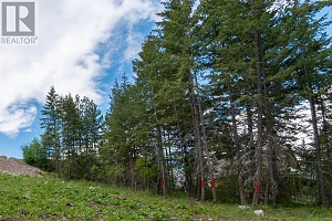 10665 Westshore Road - Photo 3