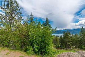 10665 Westshore Road - Photo 5
