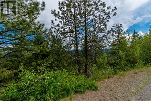10665 Westshore Road - Photo 7