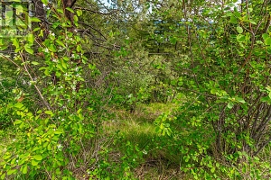 10665 Westshore Road - Photo 8