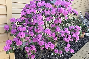 4147 4th Street - Photo 5