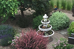 4147 4th Street - Photo 60