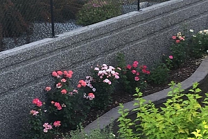 4147 4th Street - Photo 61