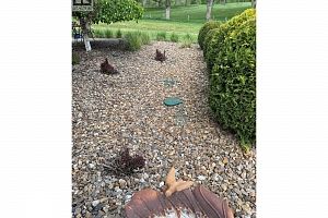 4147 4th Street - Photo 83