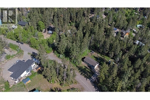 Lot 42 Alpine Road - Photo 2
