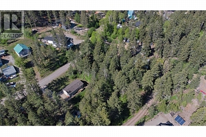Lot 42 Alpine Road - Photo 3
