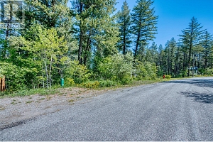 Lot 42 Alpine Road - Photo 6
