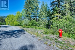 Lot 42 Alpine Road - Photo 7