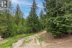 43 Hall Road - Photo 24