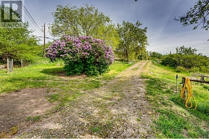 7268 L & A Road - Photo 73
