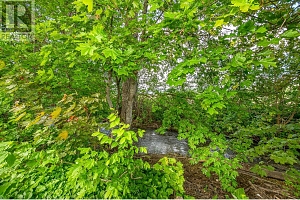 51 Monks Road - Photo 48