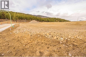 Lot 40 Eagle Bluff Drive - Photo 8