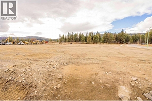 Lot 36 Eagle Bluff Drive - Photo 6