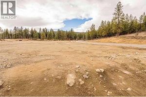 Lot 36 Eagle Bluff Drive - Photo 8