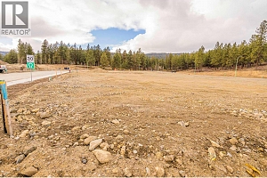 Lot 35 Scenic Ridge Drive - Photo 6