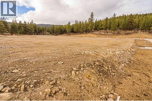 Lot 35 Scenic Ridge Drive - Photo 7