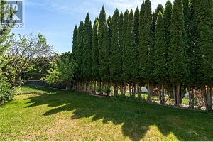 740 ROYAL PINE Drive - Photo 41