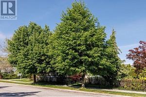 5296 Allenby Lane - Photo 39