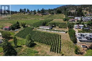 6212 Gummow Road & 6266 Lipsett Avenue - Photo 8