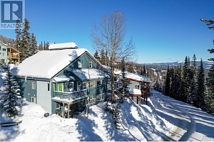 4817 Snow Pines Road Unit# D - Photo 2