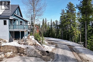 4817 Snow Pines Road Unit# D - Photo 27