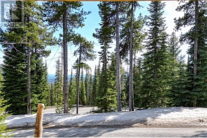 4817 Snow Pines Road Unit# D - Photo 28