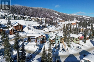 4817 Snow Pines Road Unit# D - Photo 29