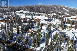 4817 Snow Pines Road Unit# D - Photo 30