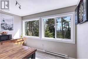 4817 Snow Pines Road Unit# D - Photo 5