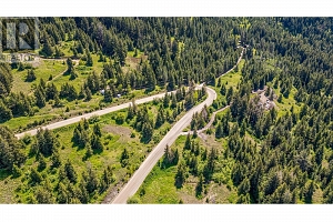 Lot 25 Commonage Road - Photo 10