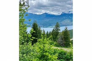 Lot 25 Commonage Road - Photo 3