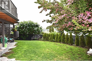 11503 Wyatt Court - Photo 42