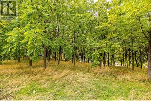 848 Webster Road - Photo 2