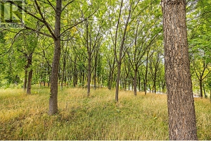 848 Webster Road - Photo 3