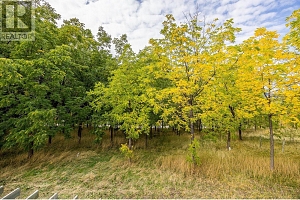 848 Webster Road - Photo 41