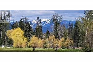 1361 6 Highway - Photo 27