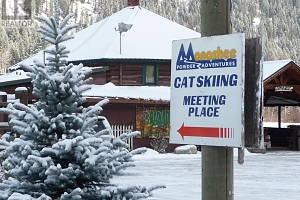 1361 6 Highway - Photo 29