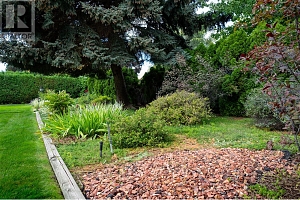 780 Dundee Road - Photo 33